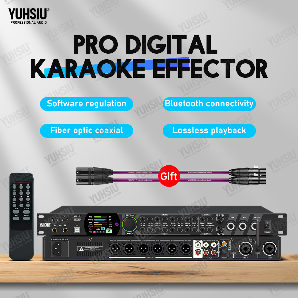 Prosesor Efek Digital Karaoke  - Audio Music Dj ulasan dan harga